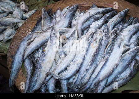 Getrockneter Fisch zum Verkauf in Local Market, Myanmar Stockfoto