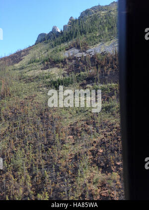 Von Jessica Sherwood erfasste Luftaufnahme, die die weite Wildnis der Nationalparks Alaskas zeigt und die unberührte Landschaft und die natürliche Schönheit dieser geschützten Region hervorhebt. Stockfoto