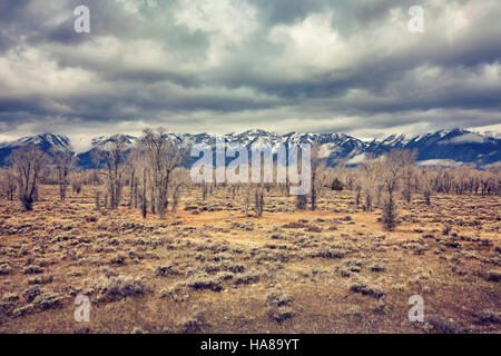 Retro-stilisierte Landschaft in Grand Teton Nationalpark, Wyoming, USA. Stockfoto