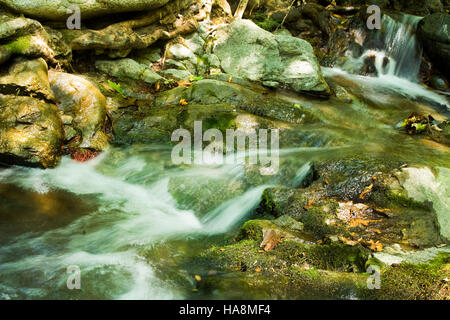 Ein kleiner Fluss läuft durch die Mitte eines Waldes in den Bergen von Nord-Griechenland Stockfoto