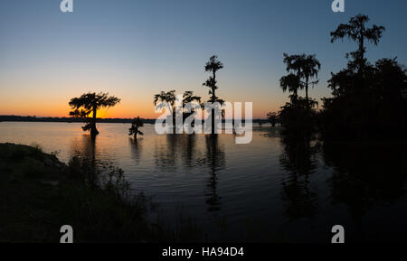 Lake Martin Sonnenuntergang Panorama Stockfoto