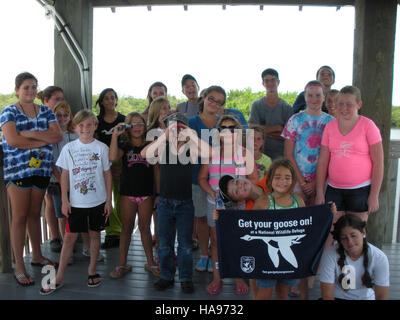 Dieses Bild zeigt eine Vogelbeobachtungsszene mit Fokus auf Wasservögel, möglicherweise Gänse, in einem natürlichen Lebensraum der Prärie. Das Foto zeigt das Wesen der Tierbeobachtung und die Bedeutung der Erhaltung der natürlichen Umgebung. Stockfoto