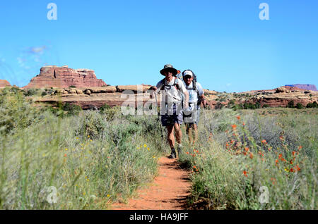Wandern im Abschnitt Needles des Canyonlands National Park bietet Besuchern atemberaubende Ausblicke und die Möglichkeit, die einzigartigen Felsformationen des Parks zu erkunden. Die Wanderwege bieten einen Einblick in die geologische Geschichte der Gegend. Stockfoto