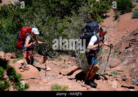 Wanderer erkunden den Abschnitt Needles des Canyonlands National Park, der für seine markanten Felsformationen, engen Canyons und malerischen Aussichten berühmt ist und einzigartige Outdoor-Abenteuer und natürliche Schönheit bietet. Stockfoto