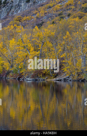 Farben des Herbstes spiegelt sich auf Silber See Teil der Juni-See-Schleife in der östlichen Sierra Nevada Stockfoto