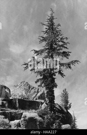 Dieses Bild spiegelt Ansel Adams’ fotografischen Beitrag zum Mural Project (1941–1942) wider, einer Zusammenarbeit mit dem Department of the Interior. Seine ikonischen Bilder von Nationalparks unterstrichen die Schönheit der Naturlandschaften und deren Erhaltung durch Kunst. Stockfoto