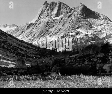 Das Ansel Adams Mural Project (1941–1942) ist eine Sammlung von Schwarzweiß-Fotografien, die vom U.S. National Park Service in Auftrag gegeben wurden, um die Schönheit der amerikanischen Nationalparks zu beleuchten. Adams’ Arbeit ist ein wichtiger visueller Nachweis dieser Landschaften. Stockfoto