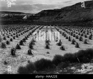 Dieses Bild zeigt Ansel Adams' „The Mural Project“, das sich auf die Aufnahme der Landschaften der US-Nationalparks in den frühen 1940er Jahren konzentrierte Adams Schwarzweiß-Fotografie ist zu einem Wahrzeichen geworden, da sie die Schönheit und Pracht des amerikanischen Naturerbes repräsentiert. Stockfoto