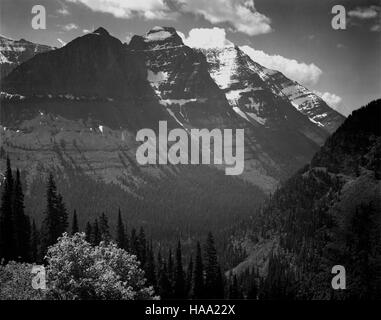 Ansel Adams' 'The Mural Project' (1941–1942) zeigt Fotografien von US-Nationalparks, die die Pracht natürlicher Landschaften und ihre Erhaltung veranschaulichen. Stockfoto