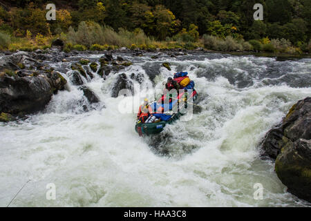 Usinterior 9129835324 Rafting über Rainie Wasserfälle auf der Wild & Scenic Rogue River in SW-Oregon Stockfoto