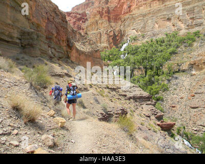 Eine Wanderung zum Thunder River im Grand Canyon National Park bietet ein atemberaubendes Erlebnis in einer der berühmtesten Landschaften der Vereinigten Staaten. Diese Route zeigt die natürliche Schönheit des Parks und bietet einen Einblick in die geologischen und ökologischen Prozesse, die die Region geformt haben. Stockfoto