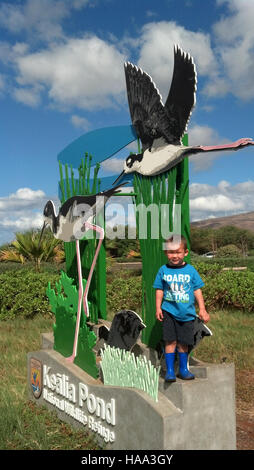 Dieses Bild zeigt das Kealia Pond National Wildlife Refuge, das für seine reiche Artenvielfalt und Feuchtgebiete bekannt ist. Das Schutzgebiet dient der Erhaltung kritischer Lebensräume für Zugvögel und einheimische Arten sowie der Förderung der Umweltbildung und -Forschung. Stockfoto