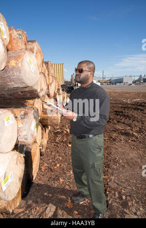 Dieses Bild zeigt Begasungsbäume, die vom Animal Plant Health Inspection Service (APHIS) des USDA zur Behandlung von Holzprodukten verwendet werden, was einen entscheidenden Teil der Rolle der Behörde bei der Verhinderung der Ausbreitung invasiver Arten in Nationalparks und anderen Schutzgebieten darstellt. Stockfoto