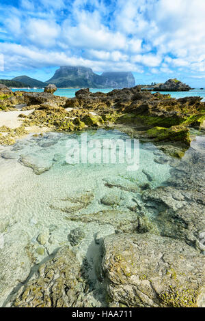 Rock pools mit Blick auf die Lagune auf der Lord-Howe-Insel, New-South.Wales, NSW, Australien Stockfoto