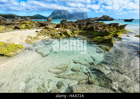 Rock pools mit Blick auf die Lagune auf der Lord-Howe-Insel, New-South.Wales, NSW, Australien Stockfoto