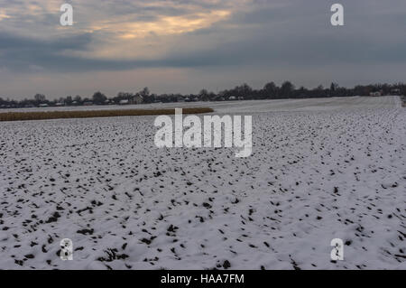 Winterlandschaft mit Bodenbearbeitung in der Nähe von Velyka Pavlivka Dorf in der Potavskaya Oblast, Ukraine Stockfoto