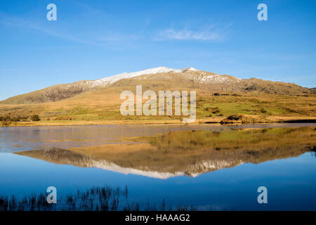 Schneebedeckte Gipfel des Mount Snowdon in ruhigen Gewässern des Teils reflektiert eingefroren Llyn y Gader Lake im Snowdonia National Park. Rhyd-Ddu, Beddgelert, Gwynedd, Wales Stockfoto