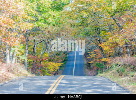 eine lange asphaltierte Straße, die leicht hügelig durch früh fallen Bäume Stockfoto