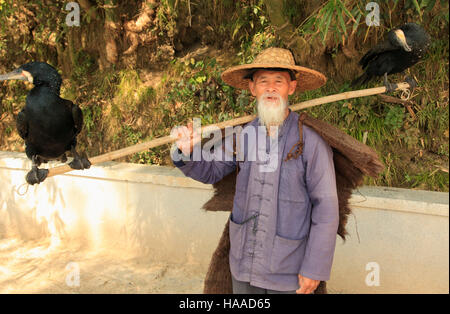 China, Guangxi, Xingping, Li-Fluss, Kormoran Fischer, Stockfoto