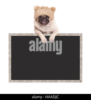 Mops Welpen Hund mit Mütze, mit hängenden Pfoten auf leere Tafel Schild mit Holzrahmen Stockfoto