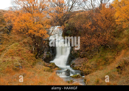 Allt ein "Chalda Beag auf Loch Assynt Stockfoto