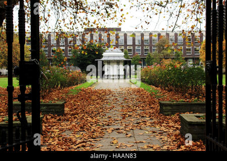 Abercromby Square Liverpool Stockfoto