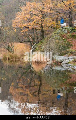 Mensch und Hund mit Blick auf See Grasmere im Lake District, UK Stockfoto