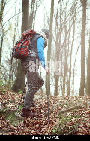 Mann in den herbstlichen Wald wandern Stockfoto