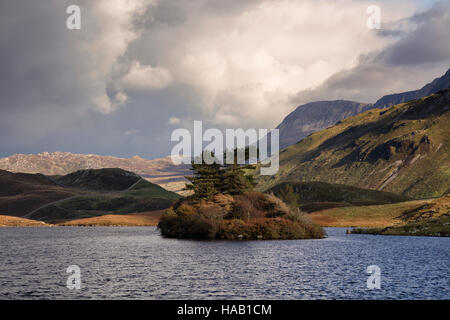 Dramatische Herbst Licht an Cregennan Seen in Snowdonia Stockfoto
