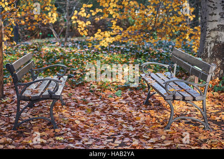 Leere Bänke unter den gefallenen Herbst Blätter Nostalgie Stockfoto