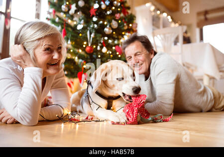 Älteres Paar mit Hund vor Weihnachtsbaum Stockfoto