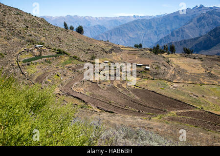 Landwirtschaftlich genutzten Feldern und Bergen in der Nähe von Kreuz von der Condor übersehen, Colca Canyon, Arequipa, Peru Stockfoto