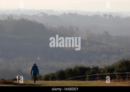 Eine Frau geht durch Ashdown Forest an einem frostigen Morgen in der Nähe von Nutley in East Sussex, UK, Dienstag 29, November 2016.  Das Met Office wird Webseite heutigen Wetter entsprechend "Sunny aber Kälte überall in England und Wales, eiskalten Nebelschwaden langsam löschen". Foto: © Luke MacGregor Stockfoto