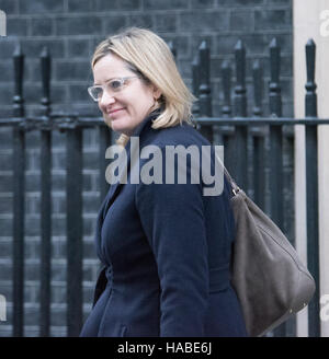 London, UK.  29. November 2016. Amber Rudd, Innenminister, verlässt Downing Street. Bildnachweis: Ian Davidson/Alamy Live-Nachrichten Stockfoto