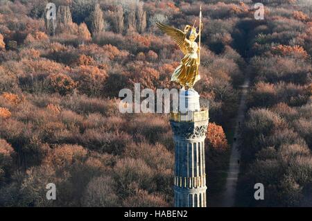 Berlin, Deutschland. 28. November 2016. Eine Luftaufnahme des Berliner Tiergartens in späten herbstlichen Sonnenschein in Berlin, Mitteldeutschland, 28. November 2016. Foto: Soeren Stache/Dpa © Dpa picture-Alliance/Alamy Live News Stockfoto