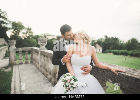 Glückliche Hochzeit paar umarmen und küssen auf Hintergrund altes Schloss Stockfoto