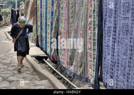 Black Hmong Frau in Cat Cat Dorf, Sapa, Vietnam, Asien Stockfoto