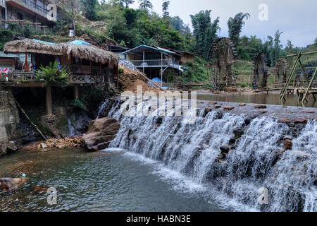 Katze Katze Dorf Lao Chai, Sapa, Vietnam, Asien Stockfoto