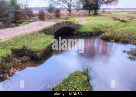 Splash-Brücke, Holly Luke Einzäunung, New Forest, Hampshire, England, UK Stockfoto