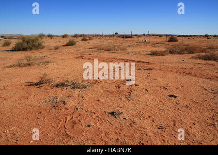 Trockene Landschaft des Namaqualand Region in der Northern Cape Provinz von Südafrika Bild mit Kopie Raum im Querformat. Stockfoto