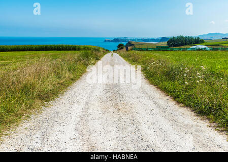 Straße zwischen Getreidefeldern und Wiesen direkt am Meer in Kantabrien, Spanien Stockfoto