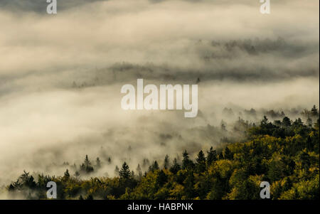 Wunderschöne schwere Nebel in Slowenien Stockfoto