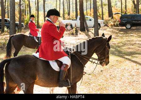 Huntsman Willie Dunn sammelt die Jagdhunde während der ersten Jagd der Saison in Middleton Place Plantation 27. November 2016 in Charleston, SC. Fox Jagd in Charleston ist eine Drag-Jagd mit einem duftenden Tuch, um ein Fuchs zu simulieren und keine Tiere verletzt. Stockfoto