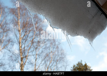 Frühling-Eiszapfen hängen nach unten das Dach auf blauen Himmelshintergrund Stockfoto