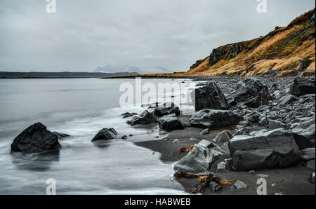 Felsigen Küste und Black Sand Beach unversöhnlich Island im Winter - in der Nähe von Hvítserkur Stockfoto