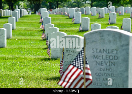 Zahlreiche Grabsteine mit amerikanischen Flaggen am Nationalfriedhof Arlington, Virginia, USA, am Memorial Day Wochenende. Stockfoto