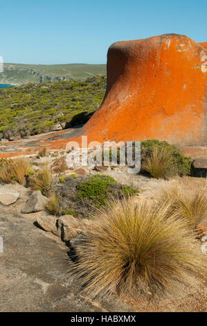 Blick vom Remarkable Rocks, Kangaroo Island, South Australia, Australien Stockfoto