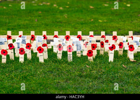 Mohn und kleine hölzerne Kreuze angezeigt in Bristol (UK) am Remembrance Day Sonntag Stockfoto