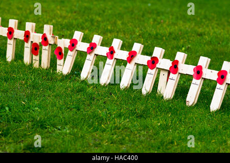 Mohn und kleine hölzerne Kreuze angezeigt in Bristol (UK) am Remembrance Day Sonntag Stockfoto