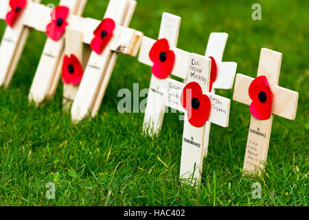 Mohn und kleine hölzerne Kreuze angezeigt in Bristol (UK) am Remembrance Day Sonntag Stockfoto